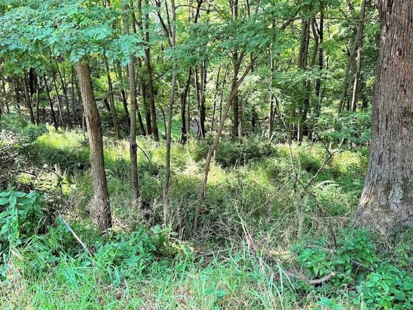 58 Redhawk Trail, Baraboo, WI 53913