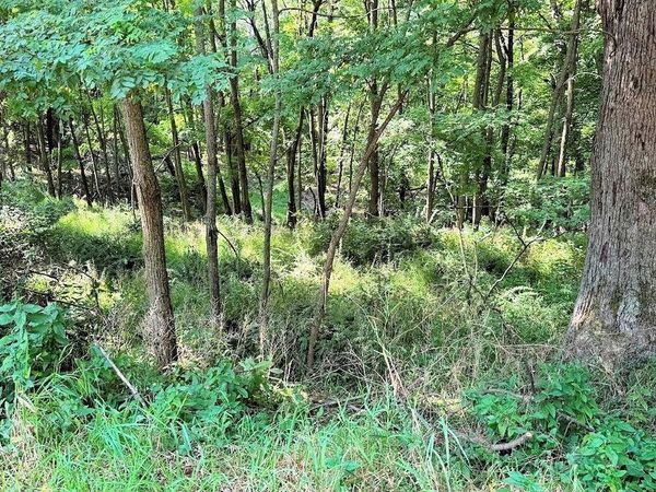 58 Redhawk Trail, Baraboo, WI 53913