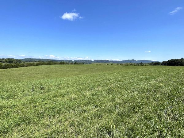 2205 Flatwoods Road, Mosheim, TN 37818