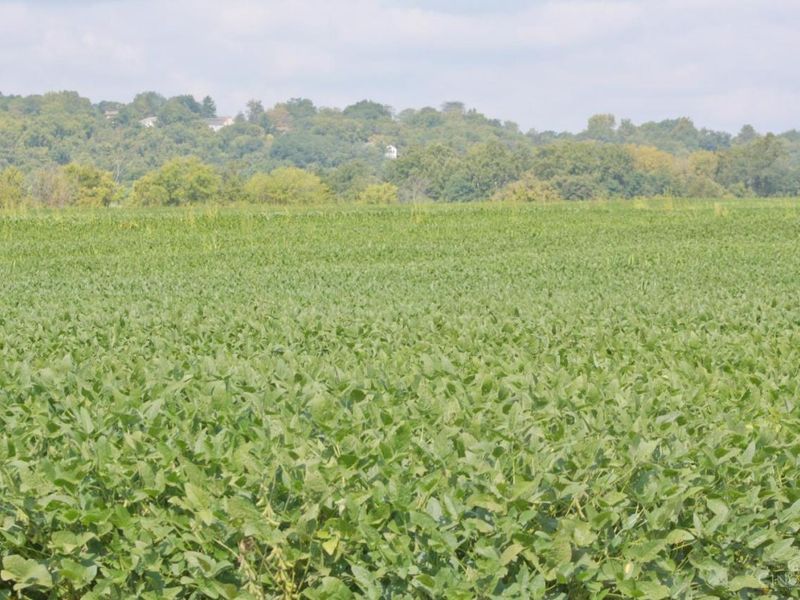 11225 US Rt 50, Whitewater Twp, OH 45052 Photo 14