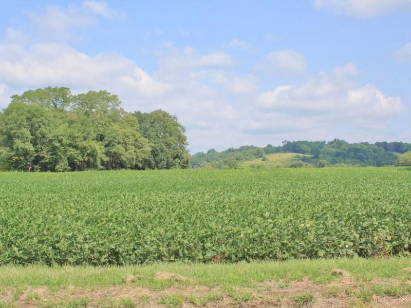 11225 US Rt 50, Whitewater Twp, OH 45052 Photo 15