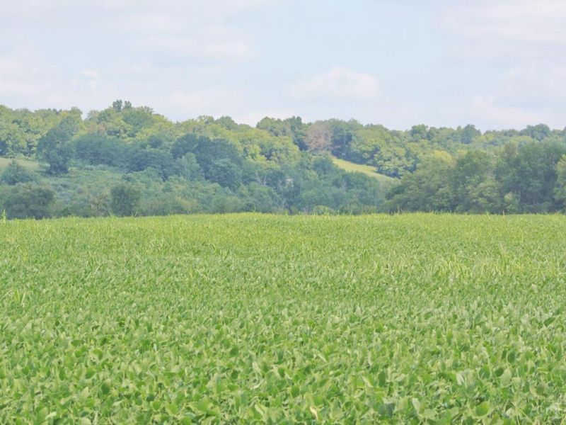 11225 US Rt 50, Whitewater Twp, OH 45052 Photo 16