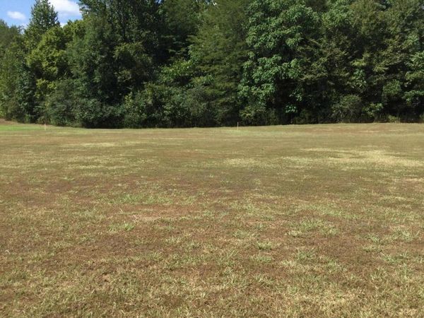 0 Rowell Road, Coldwater, MS 38618
