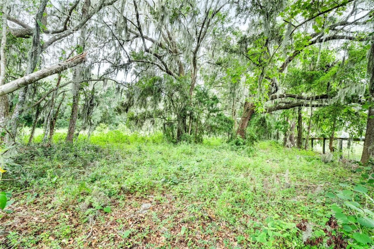 12255 N Us Highway 27, Ocala, FL 34482 Photo