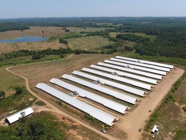 12213 Highway 93, Pocahontas, AR 72455