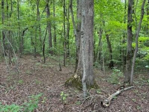 00 Timber Road, Iron Station, NC 28080