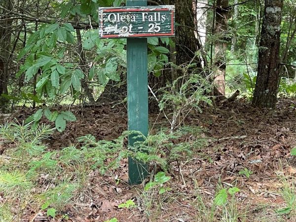 #25 Oleta Mill Trail, Dana, NC 28792