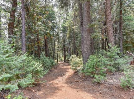 Culberson Rd, Alta, CA 95701 Photo