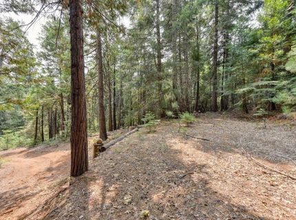 Culberson Rd, Alta, CA 95701 Photo