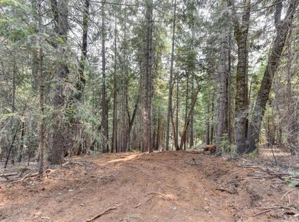 Culberson Rd, Alta, CA 95701 Photo