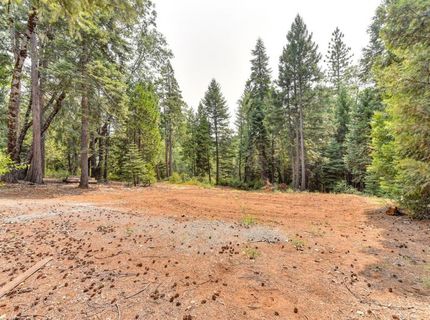 Culberson Rd, Alta, CA 95701 Photo