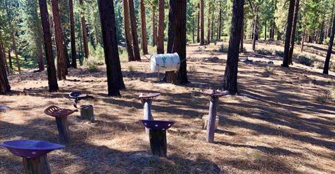 139 27n59 Genesee Road, Genesee, CA 95843 Photo