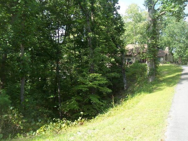 Lot 53 Hid View St, Pigeon Forge, TN 37863