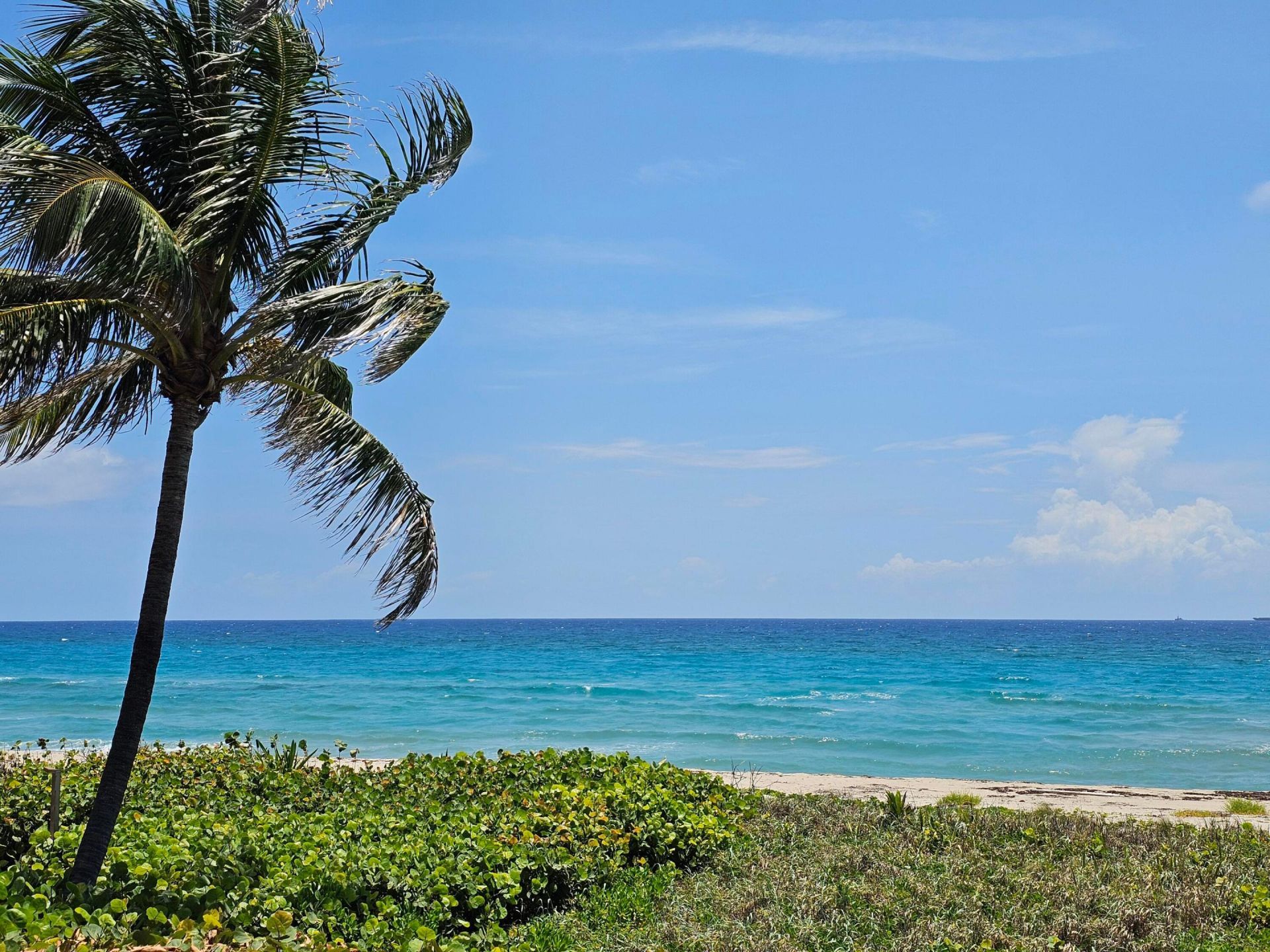 3556 B Road, Loxahatchee Groves, FL 33470 Photo