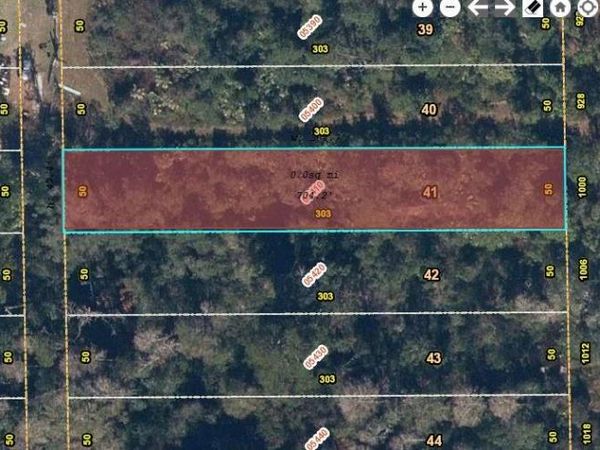 1000 GREENBRIAR DRIVE, CHRISTMAS, FL 32709