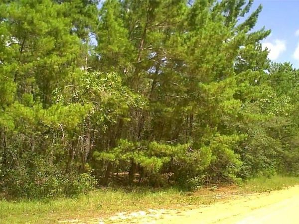0 NONE, INTERLACHEN, FL 32148