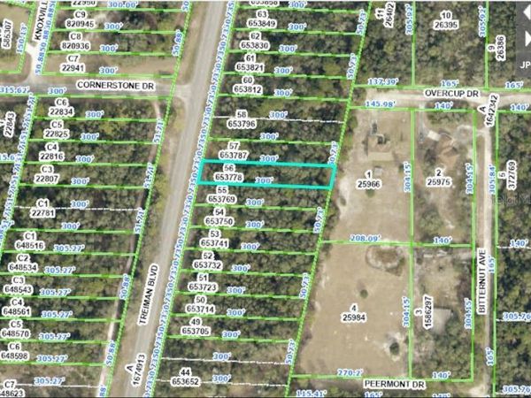 8086 TREIMAN BLVD BOULEVARD, WEBSTER, FL 33597