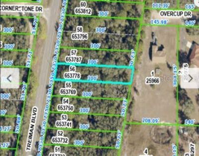 8086 Treiman Blvd Boulevard, Webster, FL 33597 Photo