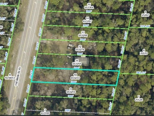 7338 TREIMAN BOULEVARD, WEBSTER, FL 33597