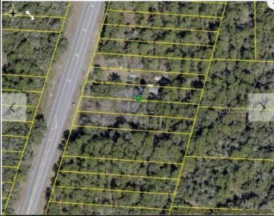 7338 Treiman Boulevard, Webster, FL 33597 Photo