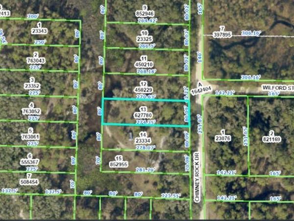 CHIMNEY ROCK DRIVE, WEBSTER, FL 33597