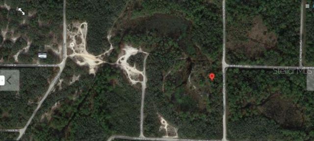 Chimney Rock Drive, Webster, FL 33597 Photo