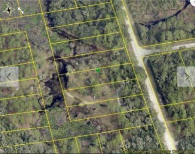 Chimney Rock Drive, Webster, FL 33597 Photo