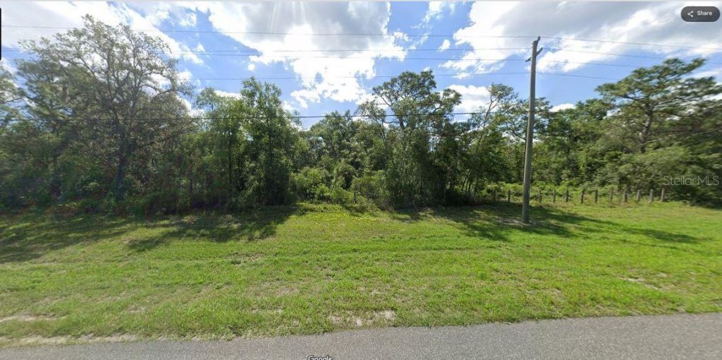 Chimney Rock Drive, Webster, FL 33597 Photo