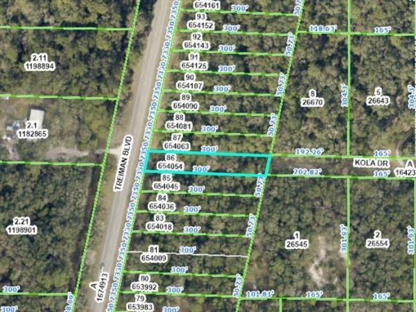 8250 TREIMAN BLVD BOULEVARD, WEBSTER, FL 33597