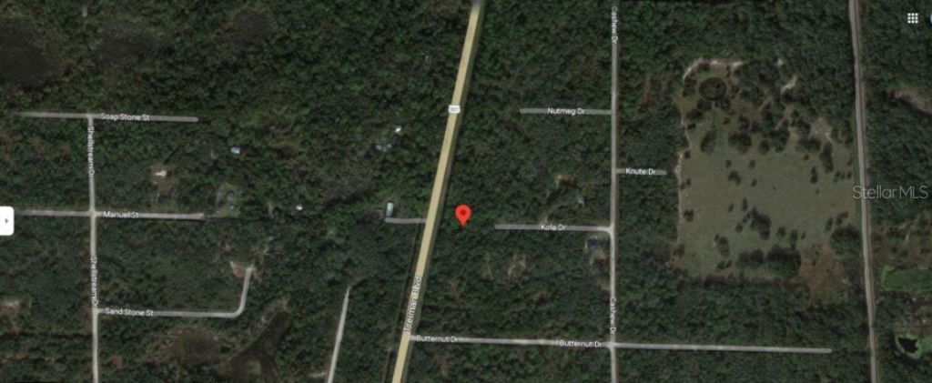 8250 Treiman Blvd Boulevard, Webster, FL 33597 Photo