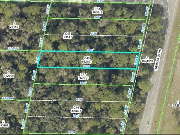 TREIMAN BOULEVARD, WEBSTER, FL 33597
