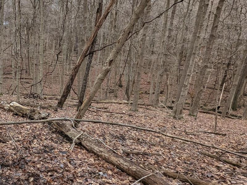 2984 Canyon Road, Granville, OH 43023 Photo 2