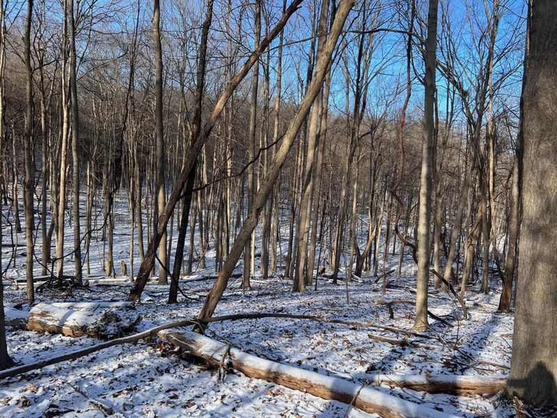 2984 Canyon Road, Granville, OH 43023 Photo 3