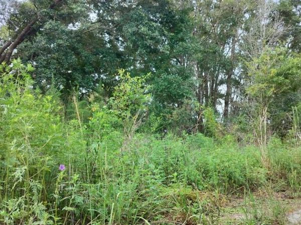 96 N SHELTERING OAKS DRIVE, INVERNESS, FL 34453