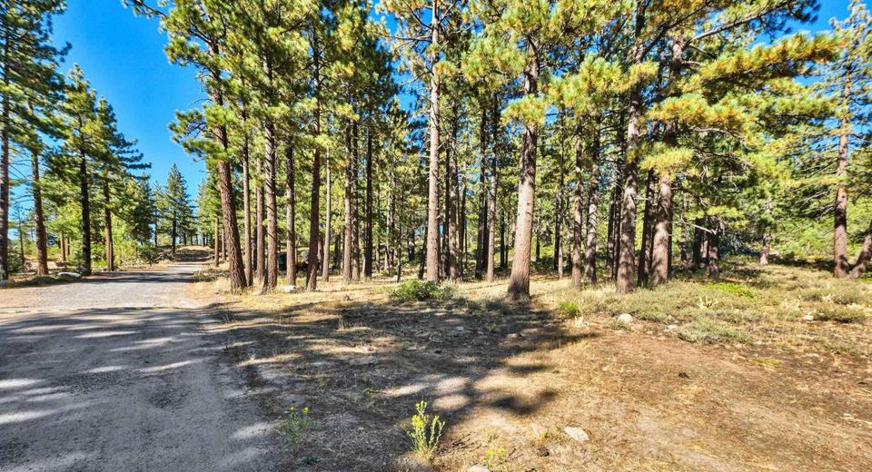 0 Mountain Haven Lane, Reno, NV 89511 Photo