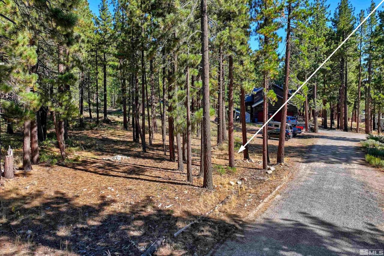 0 Mountain Haven Lane, Reno, NV 89511 Photo