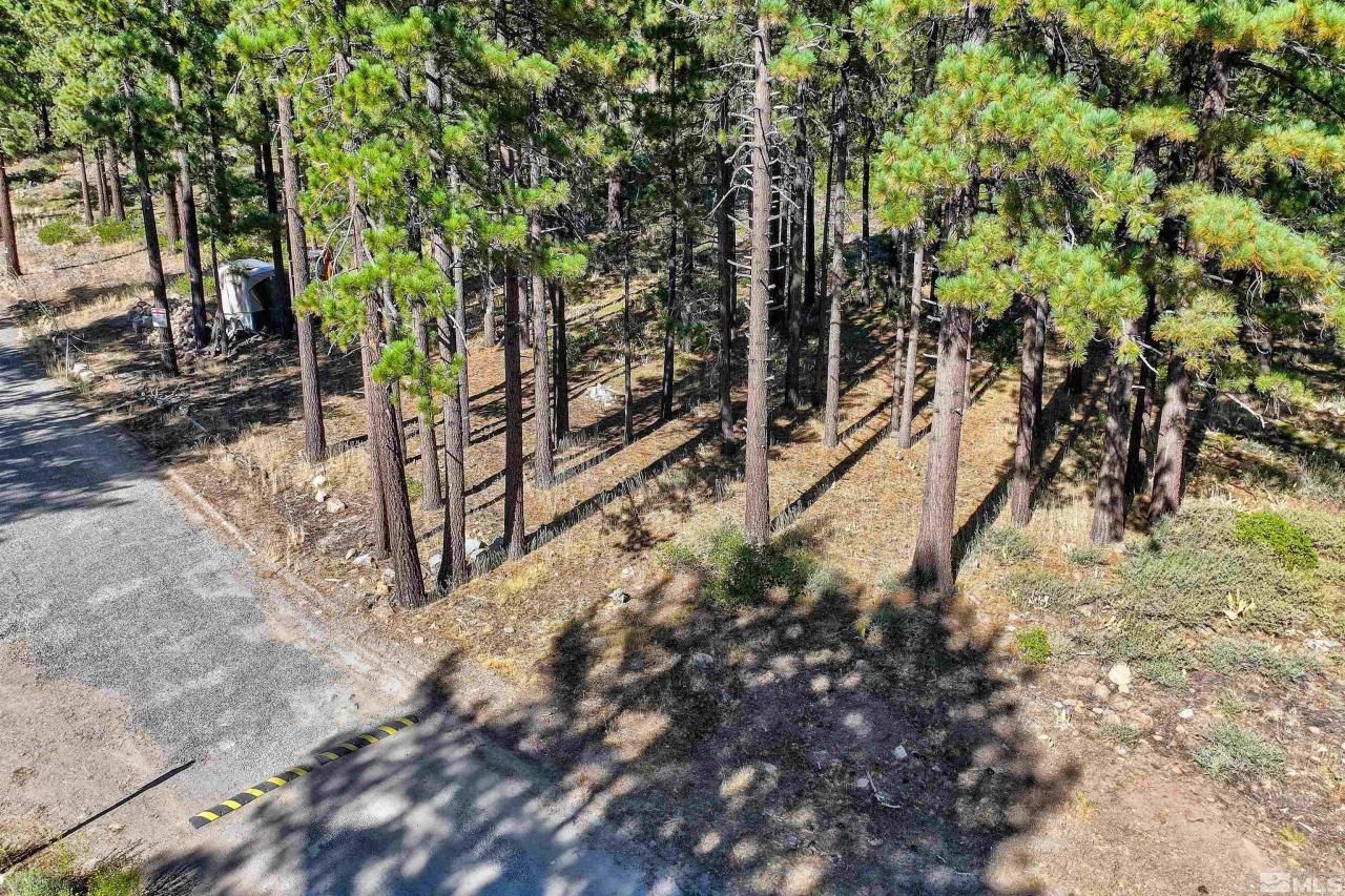 0 Mountain Haven Lane, Reno, NV 89511 Photo