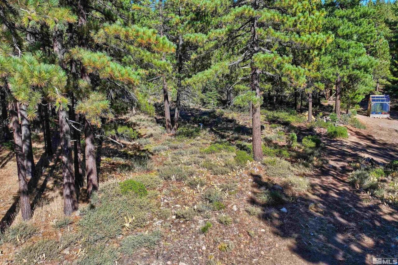 0 Mountain Haven Lane, Reno, NV 89511 Photo