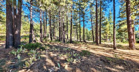 0 Mountain Haven Lane, Reno, NV 89511 Photo