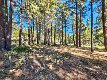 0 Mountain Haven Lane, Reno, NV 89511 Photo