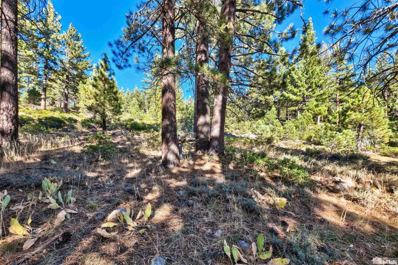 0 Mountain Haven Lane, Reno, NV 89511 Photo