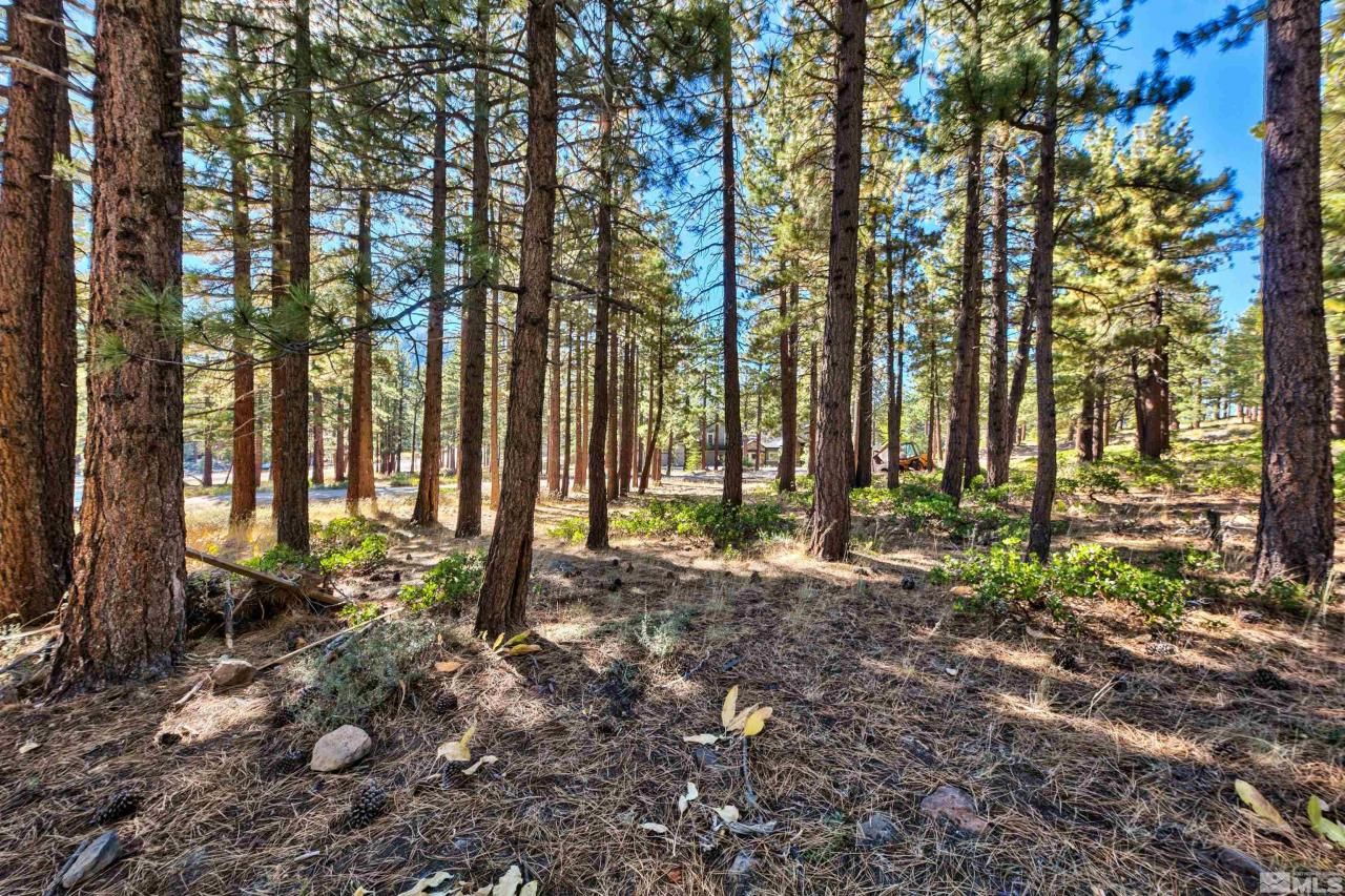 0 Mountain Haven Lane, Reno, NV 89511 Photo