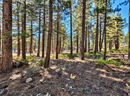 0 Mountain Haven Lane, Reno, NV 89511 Photo