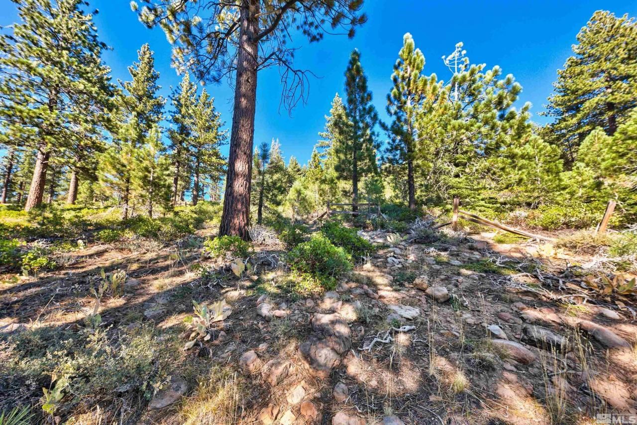 0 Mountain Haven Lane, Reno, NV 89511 Photo