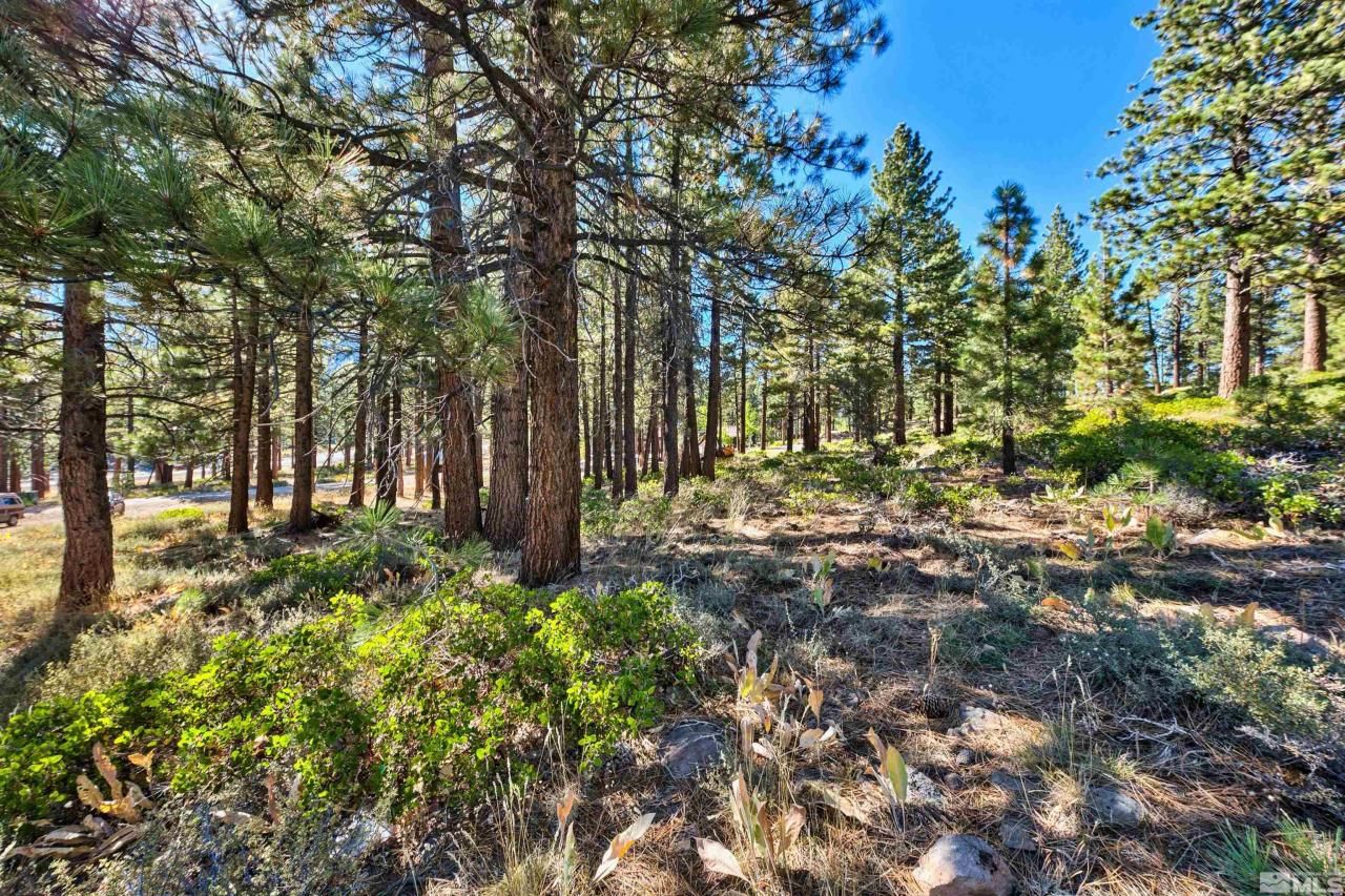 0 Mountain Haven Lane, Reno, NV 89511 Photo