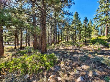 0 Mountain Haven Lane, Reno, NV 89511 Photo