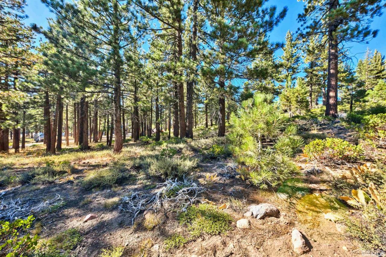 0 Mountain Haven Lane, Reno, NV 89511 Photo