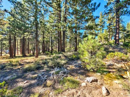 0 Mountain Haven Lane, Reno, NV 89511 Photo