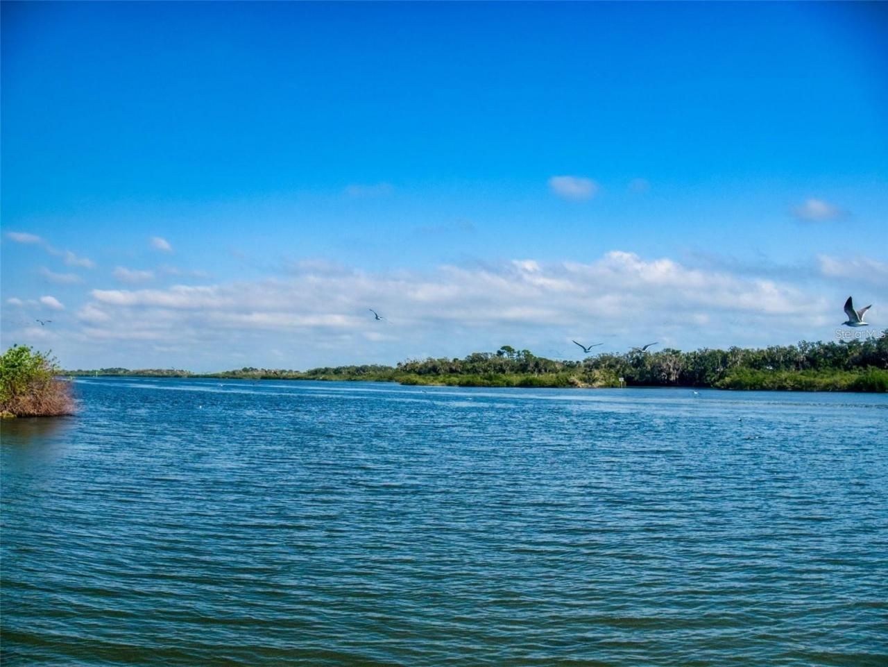 160 Red Bass Lane, Edgewater, FL 32141 Photo