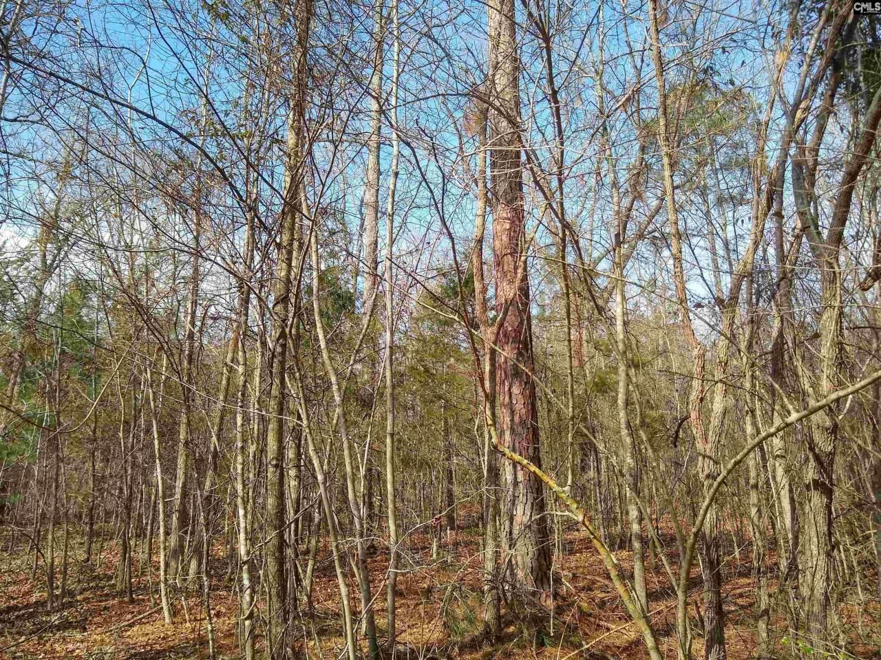 0 321 Highway Photo 10